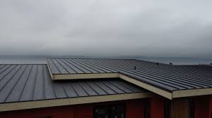 Best Roof Coating and Sealing  in Anniston, AL